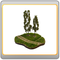 Gras & Bäume